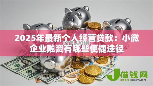 2025年最新个人经营贷款：小微企业融资有哪些便捷途径