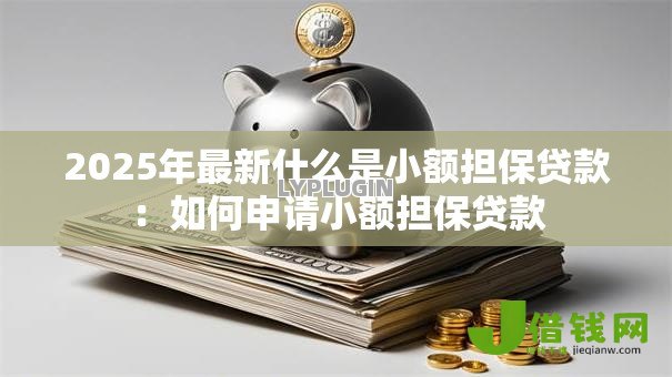 2025年最新什么是小额担保贷款：如何申请小额担保贷款