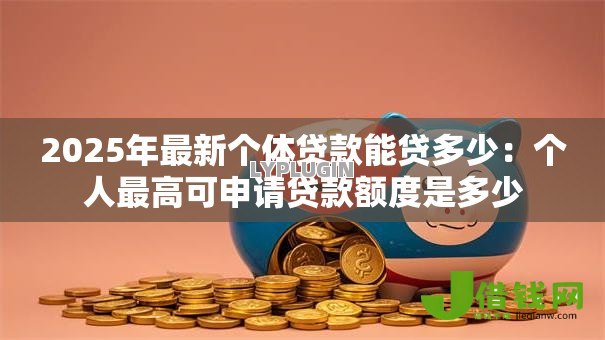2025年最新个体贷款能贷多少：个人最高可申请贷款额度是多少