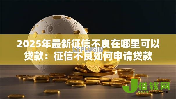 2025年最新征信不良在哪里可以贷款：征信不良如何申请贷款