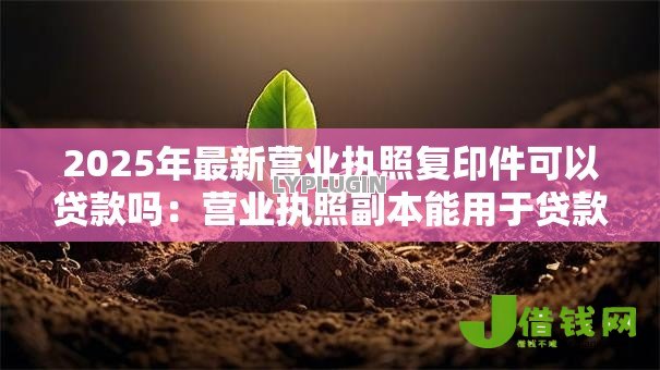2025年最新营业执照复印件可以贷款吗:营业执照副本能用于贷款吗 2025年最新营业执照复印件可以贷款吗:营业执照副本能用于贷款吗