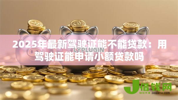 2025年最新驾驶证能不能贷款：用驾驶证能申请小额贷款吗