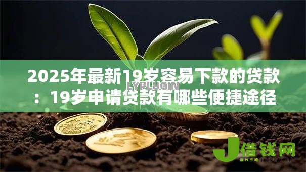 2025年最新19岁容易下款的贷款:19岁申请贷款有哪些便捷途径 2025年最新19岁容易下款的贷款:19岁申请贷款有哪些便捷途径