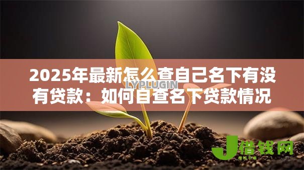 2025年最新怎么查自己名下有没有贷款：如何自查名下贷款情况