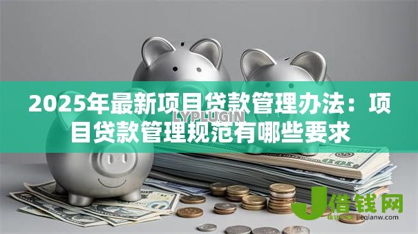 2025年最新项目贷款管理办法：项目贷款管理规范有哪些要求