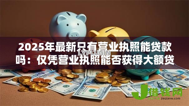 2025年最新只有营业执照能贷款吗：仅凭营业执照能否获得大额贷款