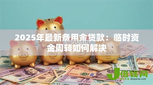 2025年最新备用金贷款：临时资金周转如何解决