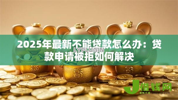 2025年最新不能贷款怎么办：贷款申请被拒如何解决
