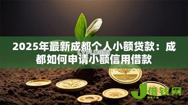 2025年最新成都个人小额贷款：成都如何申请小额信用借款