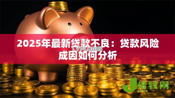 2025年最新贷款不良：贷款风险成因如何分析