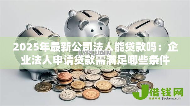 2025年最新公司法人能贷款吗：企业法人申请贷款需满足哪些条件