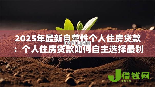 2025年最新自营性个人住房贷款：个人住房贷款如何自主选择最划算