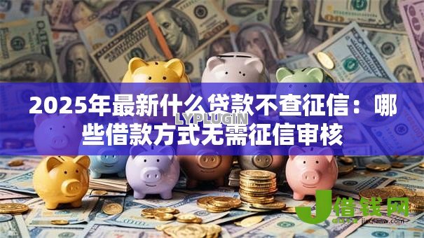2025年最新什么贷款不查征信:哪些借款方式无需征信审核 2025年最新什么贷款不查征信:哪些借款方式无需征信审核