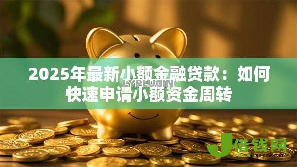 2025年最新小额金融贷款：如何快速申请小额资金周转