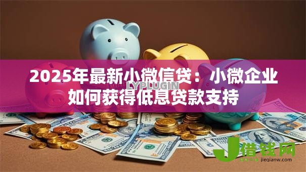 2025年最新小微信贷：小微企业如何获得低息贷款支持