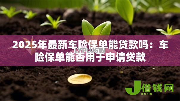 2025年最新车险保单能贷款吗：车险保单能否用于申请贷款