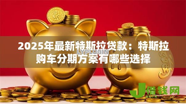 2025年最新特斯拉贷款:特斯拉购车分期方案有哪些选择 2025年最新特斯拉贷款:特斯拉购车分期方案有哪些选择