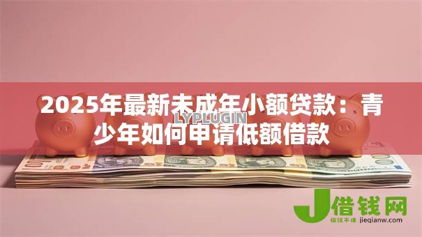 2025年最新未成年小额贷款：青少年如何申请低额借款