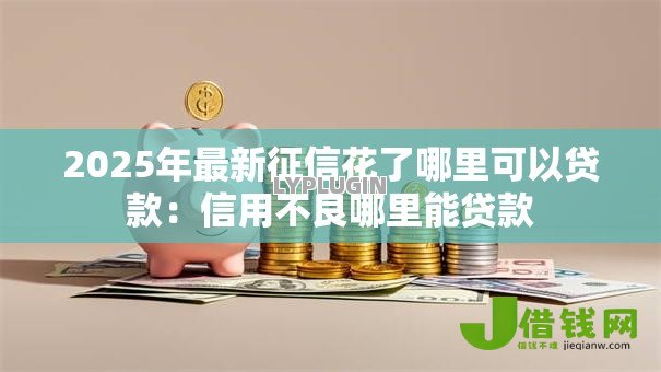 2025年最新征信花了哪里可以贷款：信用不良哪里能贷款