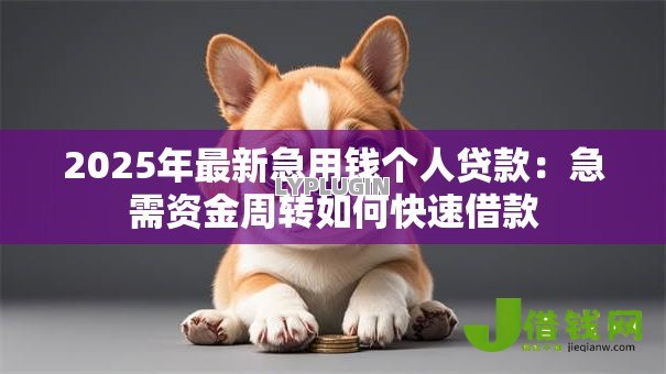 2025年最新急用钱个人贷款:急需资金周转如何快速借款 2025年最新急用钱个人贷款:急需资金周转如何快速借款