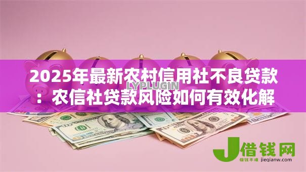 2025年最新农村信用社不良贷款：农信社贷款风险如何有效化解