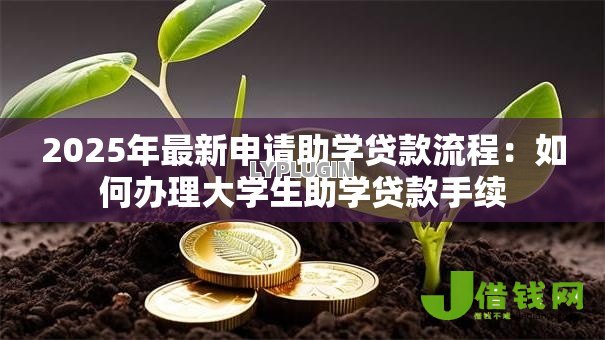 2025年最新申请助学贷款流程：如何办理大学生助学贷款手续