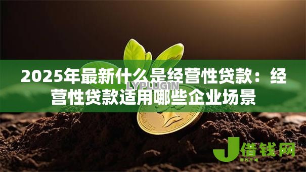 2025年最新什么是经营性贷款:经营性贷款适用哪些企业场景 2025年最新什么是经营性贷款:经营性贷款适用哪些企业场景