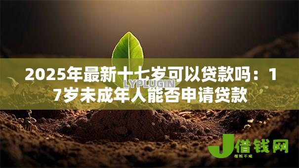 2025年最新十七岁可以贷款吗：17岁未成年人能否申请贷款