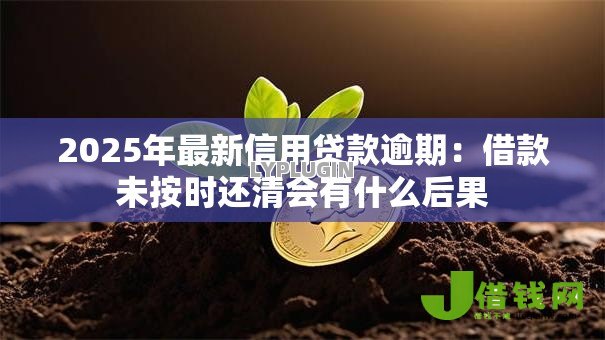 2025年最新信用贷款逾期：借款未按时还清会有什么后果