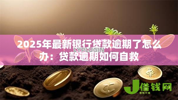 2025年最新银行贷款逾期了怎么办:贷款逾期如何自救 2025年最新银行贷款逾期了怎么办:贷款逾期如何自救