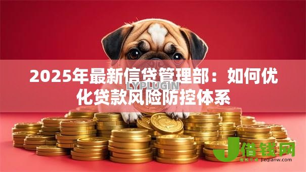 2025年最新信贷管理部：如何优化贷款风险防控体系