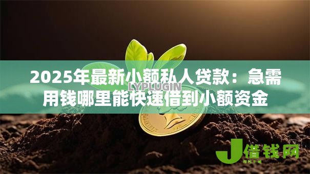 2025年最新小额私人贷款：急需用钱哪里能快速借到小额资金