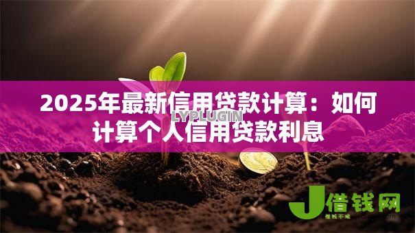 2025年最新信用贷款计算：如何计算个人信用贷款利息