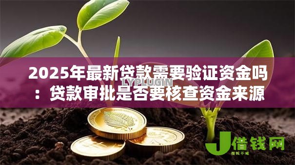 2025年最新贷款需要验证资金吗：贷款审批是否要核查资金来源