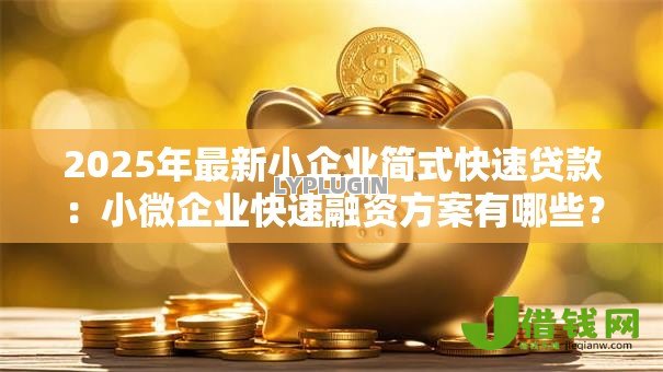 2025年最新小企业简式快速贷款：小微企业快速融资方案有哪些？