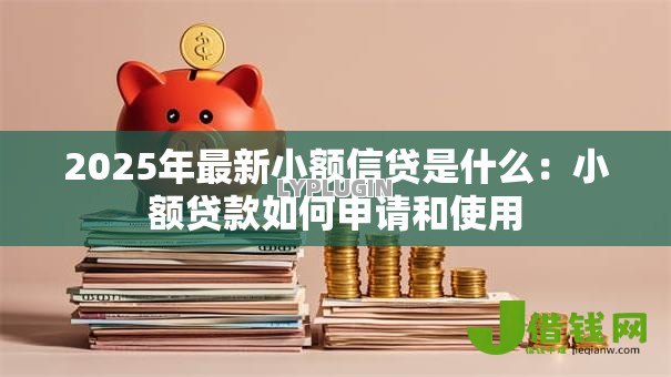 2025年最新小额信贷是什么：小额贷款如何申请和使用